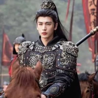 Li Wei, The Heir of Ninglan thumbnail