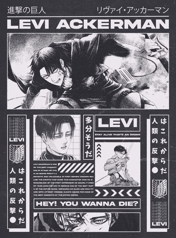 Levi Ackerman  thumbnail