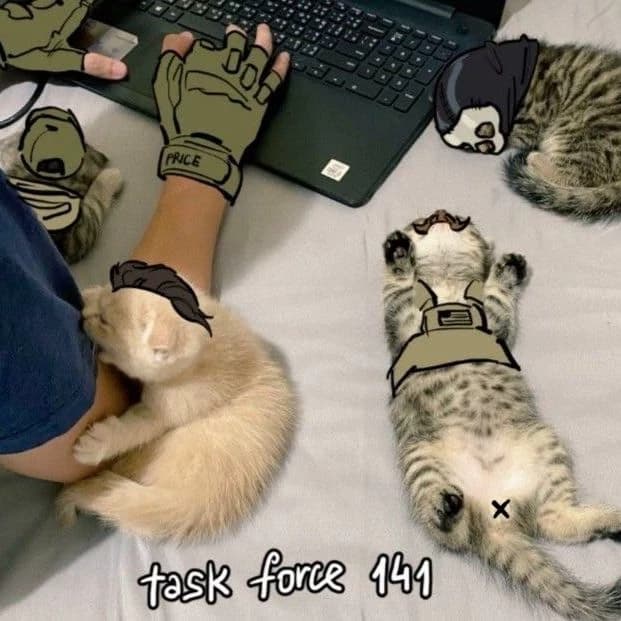 TASK FORCES 141 [cats] thumbnail