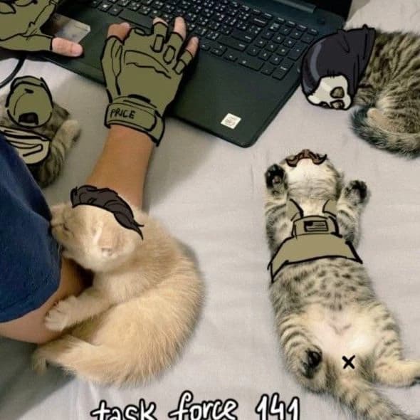 Task forces 141 (all kittens) thumbnail