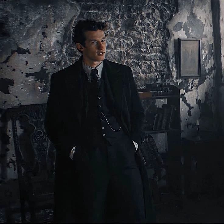 Theseus Scamander thumbnail