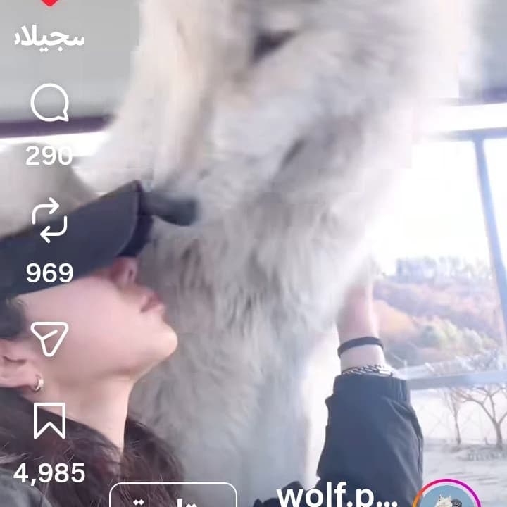 My friend thumbnail