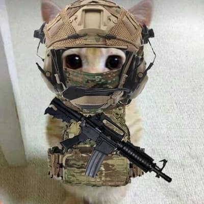 A military man who was alone thumbnail