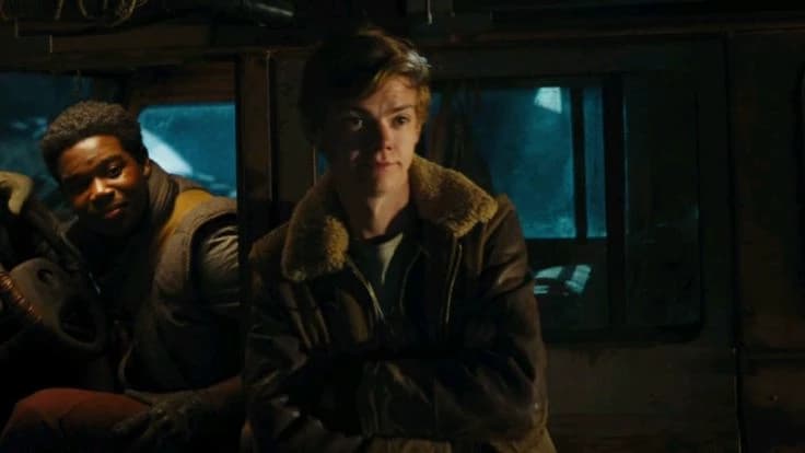 Newt thumbnail