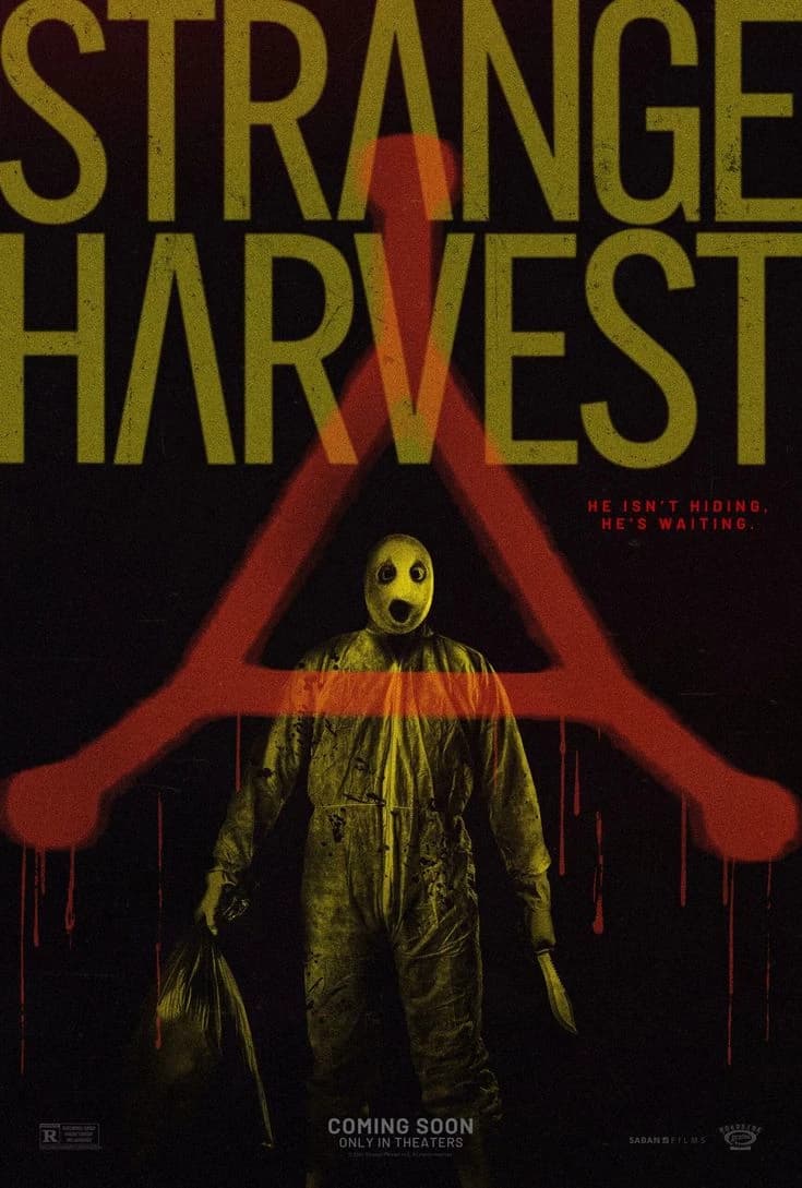 Mr. Shiny | strange harvest thumbnail