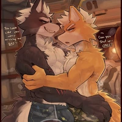 Wolf O'Donnell bl thumbnail