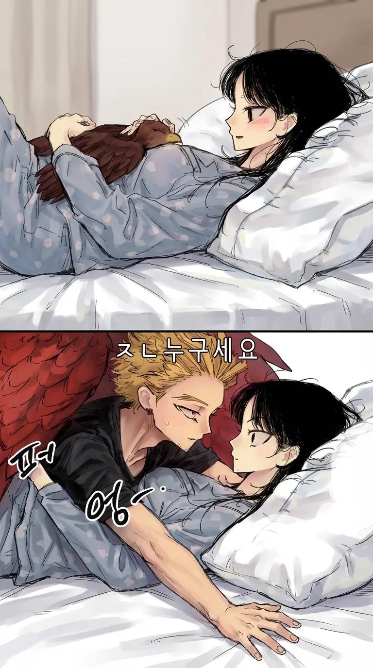 Hawks thumbnail