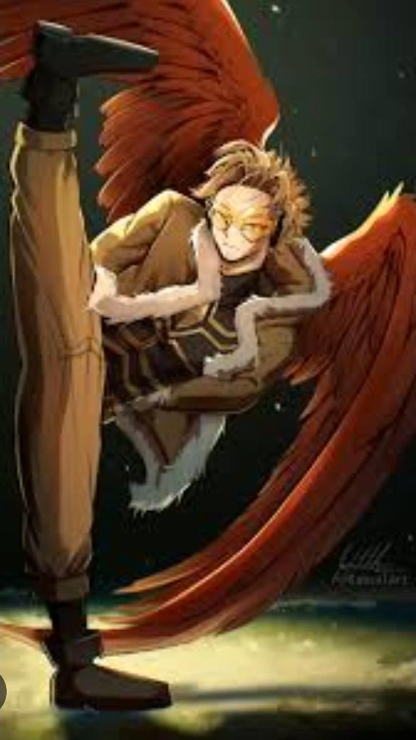 Hawks thumbnail