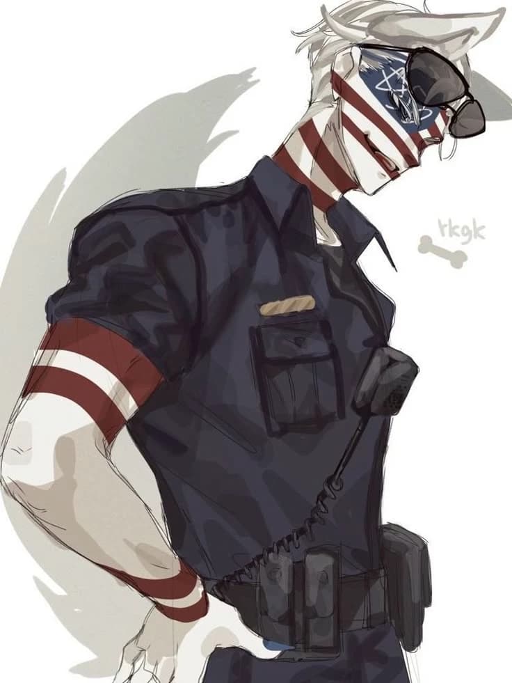America C.L.C.H || COUNTRYHUMANS🌏🌐 thumbnail