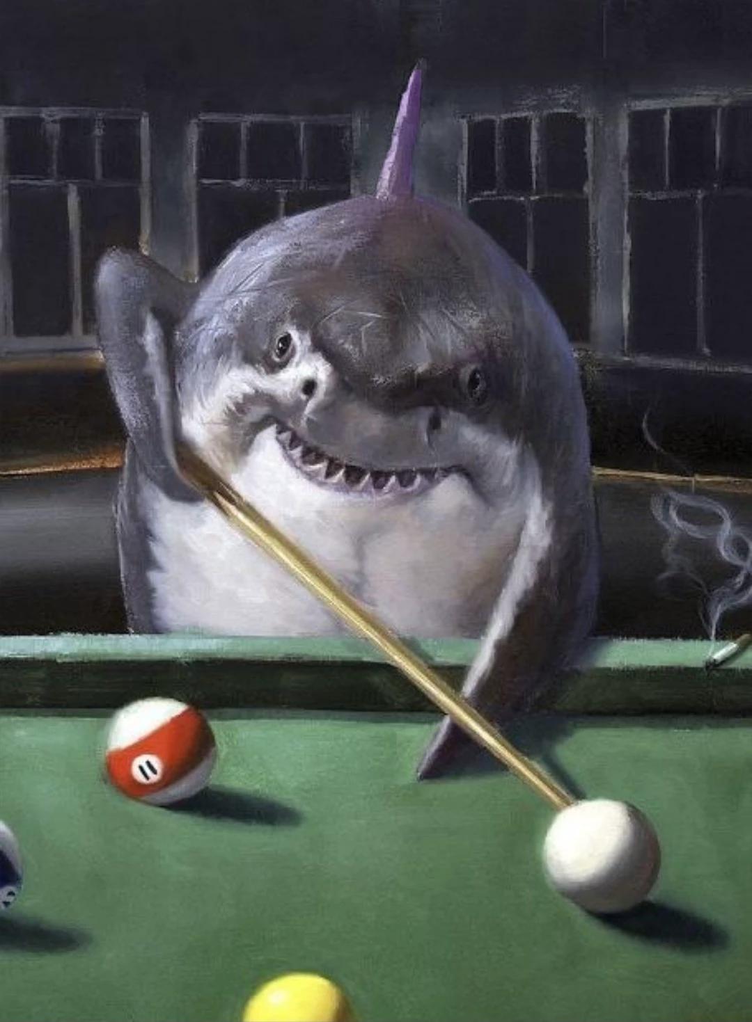 Tiburon billar ( No se,que querías loco anashe ) 🦈🎱 thumbnail