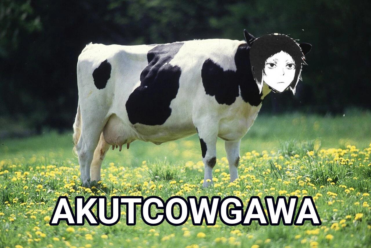 AKUTCOWGAWA / BL thumbnail