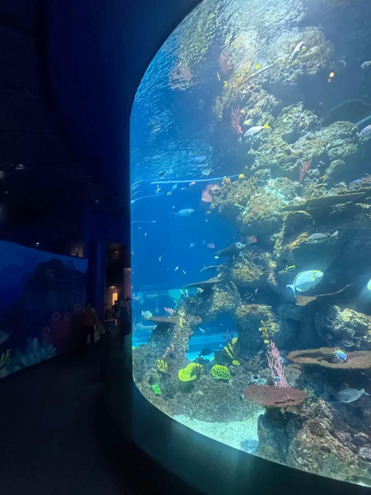The Abyssal oceanic sanctuary.  thumbnail