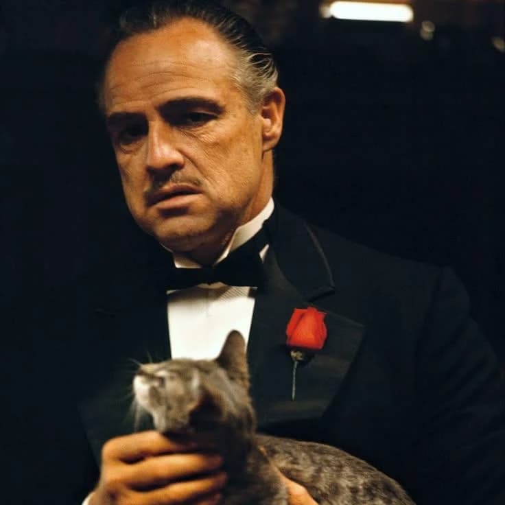 Vito Corleone thumbnail