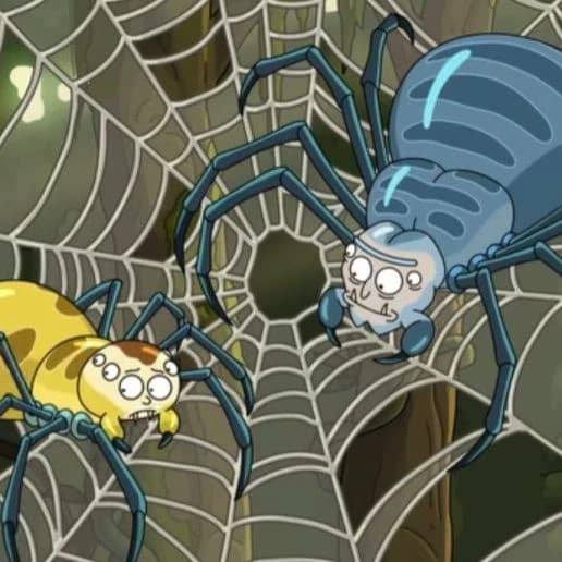 rick and morty spiders thumbnail