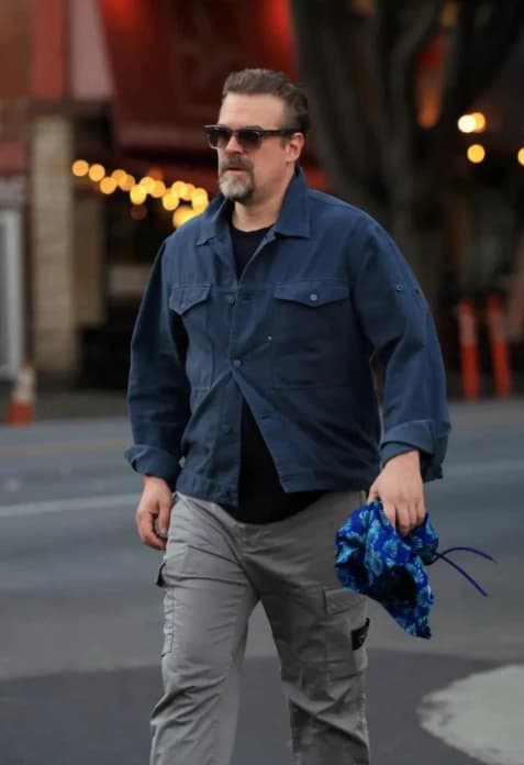 David Harbour thumbnail