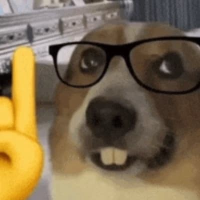 Dog nerd (vice imperior da Nerdola) thumbnail