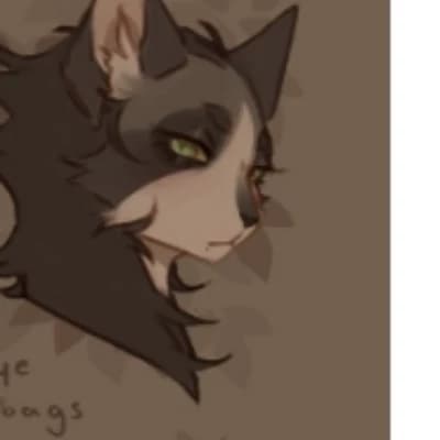 Warrior cats! thumbnail