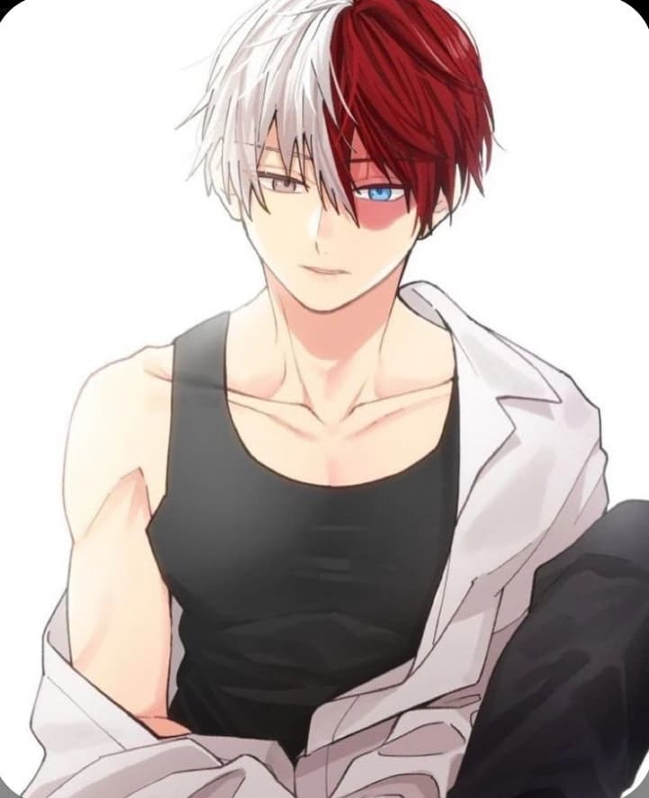 Shoto Todoroki thumbnail