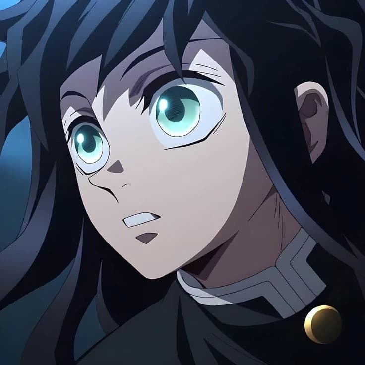 Hashiras  thumbnail