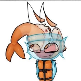 shrimpo x finn thumbnail