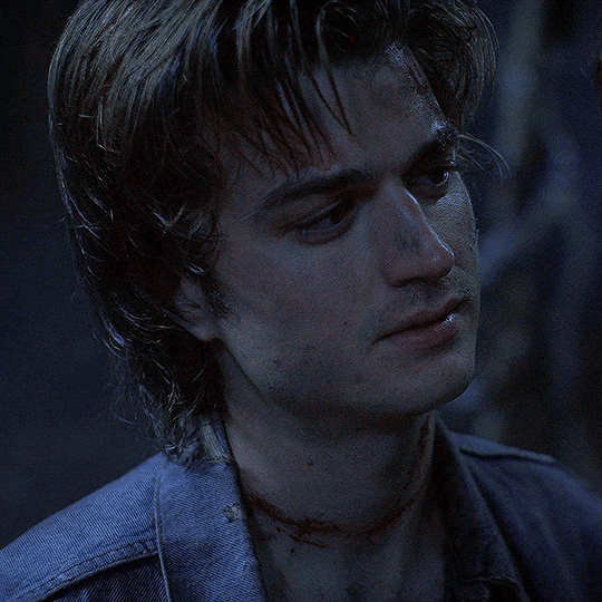 05 Steve Harrington thumbnail