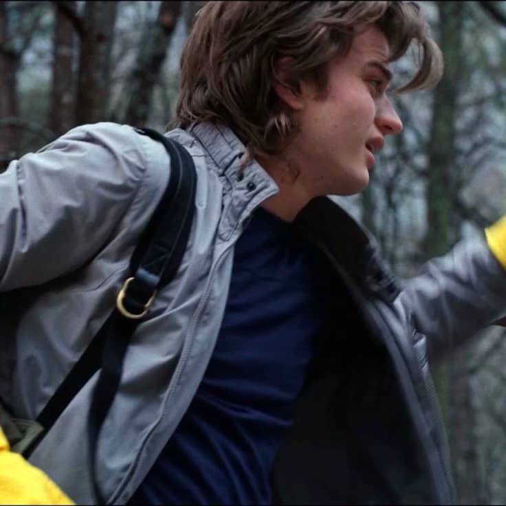 05 Steve Harrington thumbnail