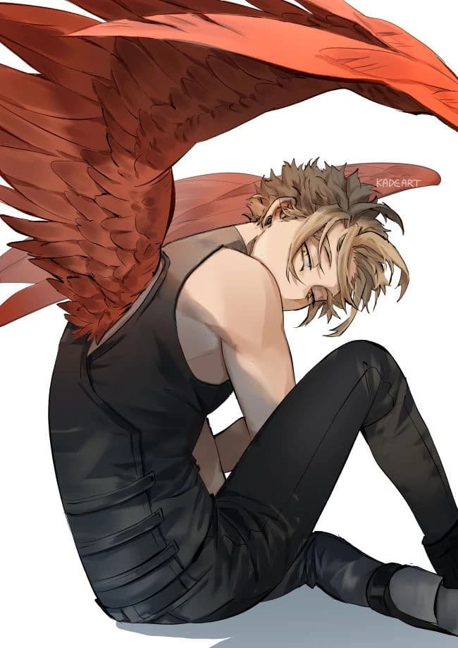 Hawks thumbnail