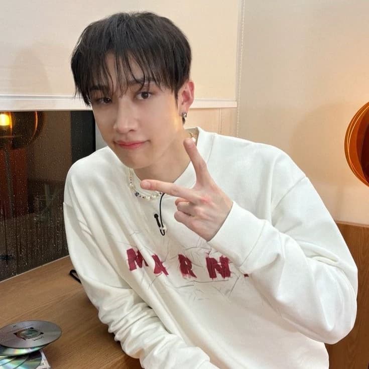 Bang Chan. thumbnail