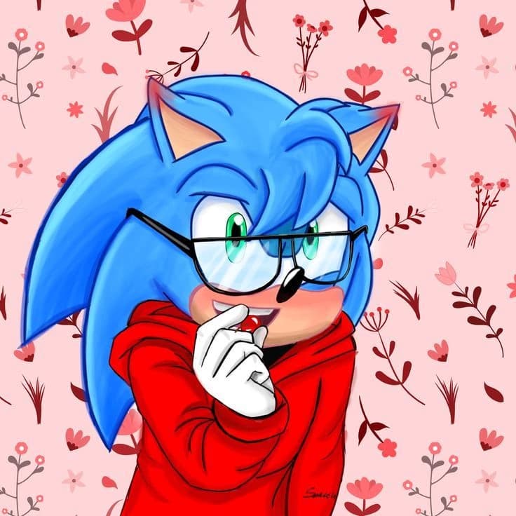 Nicky the Hedgehog obsession thumbnail
