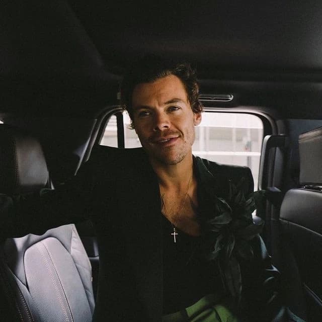 Harry Styles - CEO thumbnail