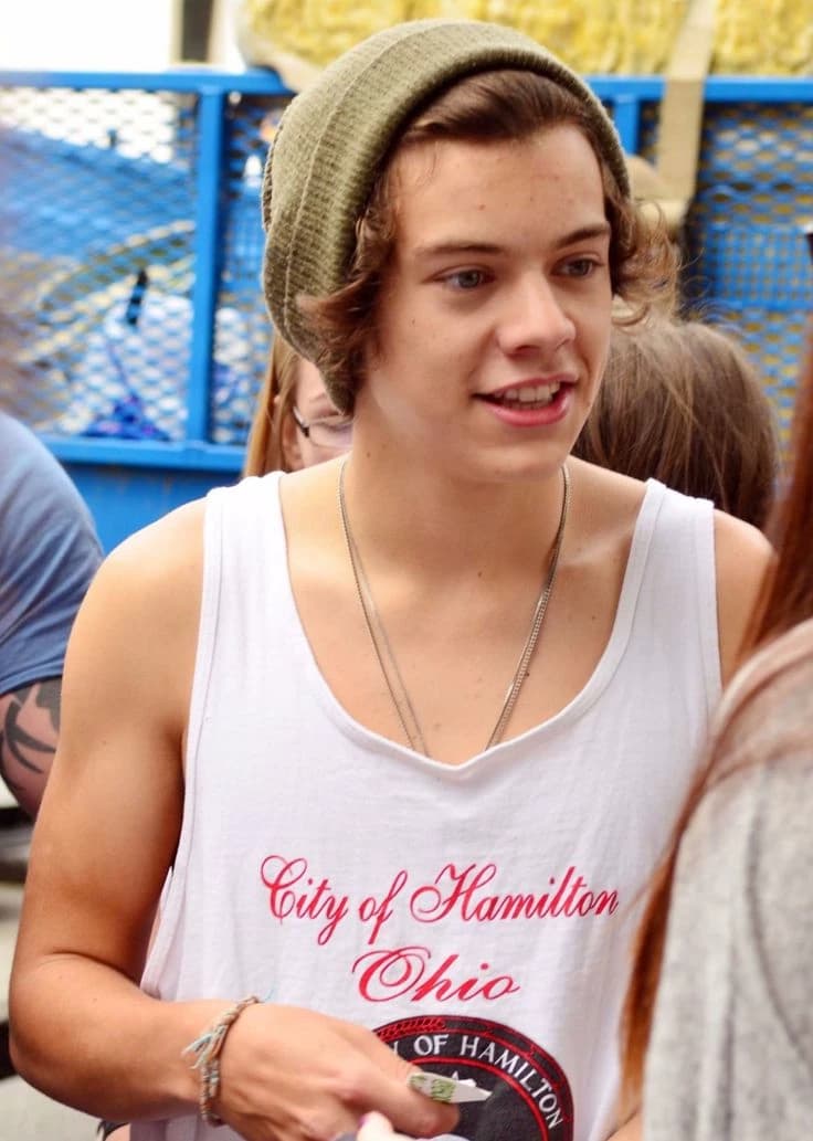 Harry Styles - stepbrother  thumbnail