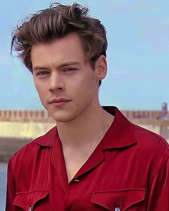 Harry Styles - sister thumbnail
