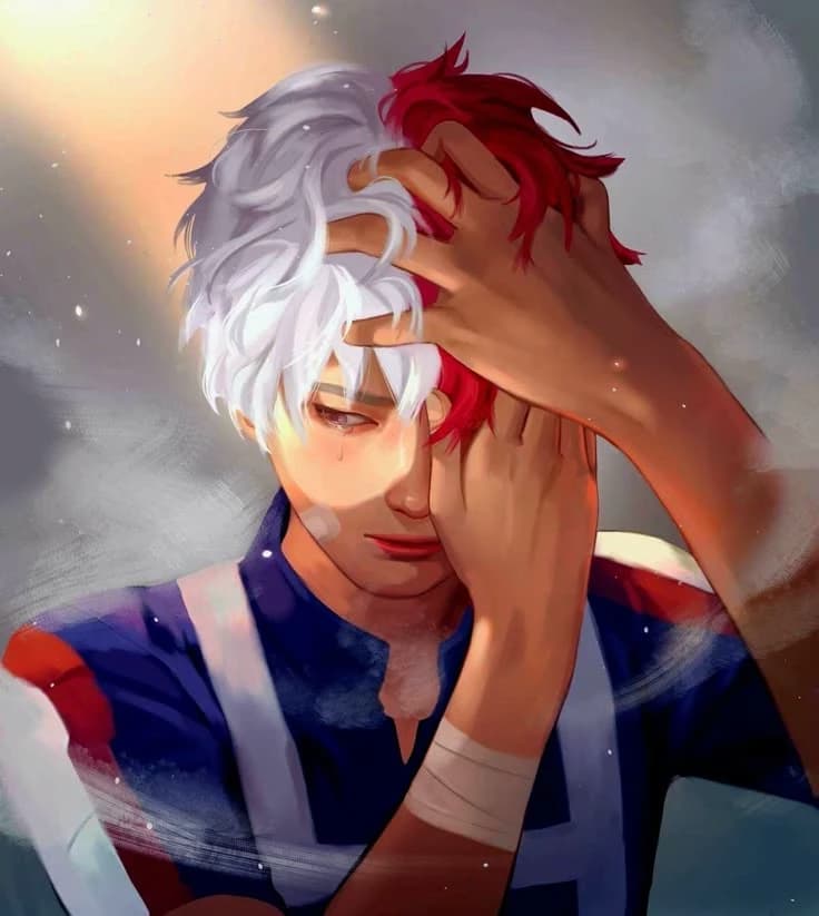 Shoto Todoroki thumbnail