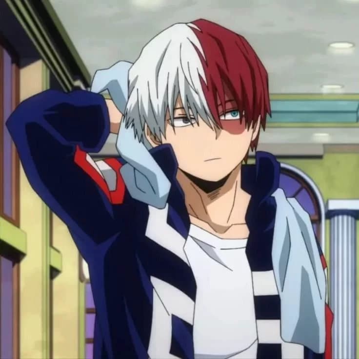 Shoto Todoroki thumbnail
