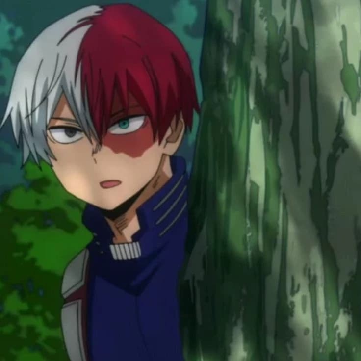 Shot Todoroki thumbnail