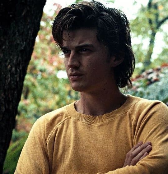 ST|| Steve Harrington  thumbnail