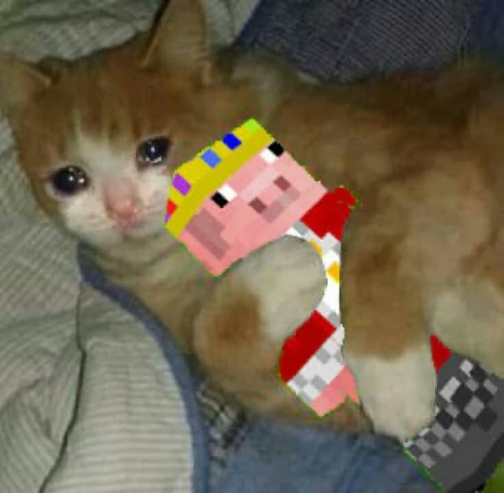 ¤《Technoblade》¤ thumbnail