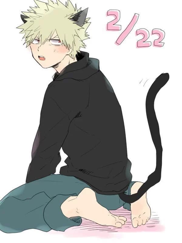 Katsuki Bakugo(cat) thumbnail