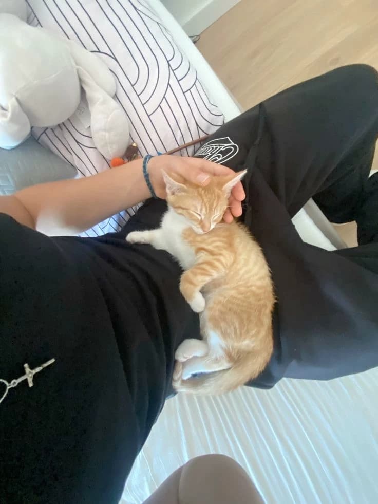 Theo  thumbnail