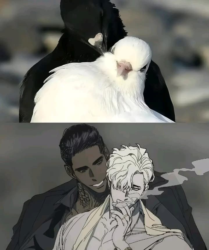 fast🕊️ thumbnail