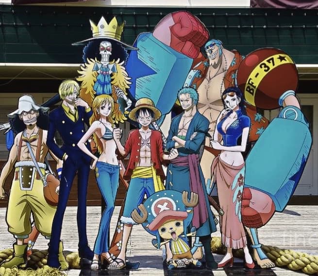 Straw Hat crew! thumbnail