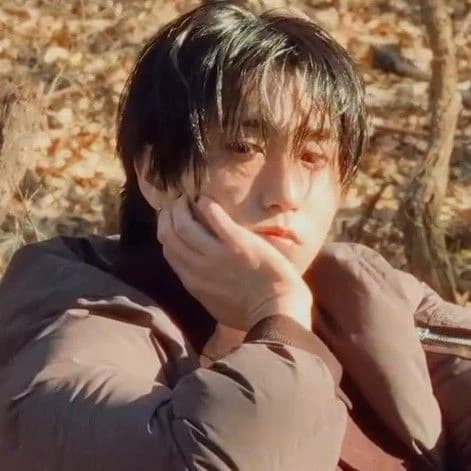 Han Jisung  thumbnail