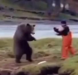 XD oso vs tu nose we 67 thumbnail