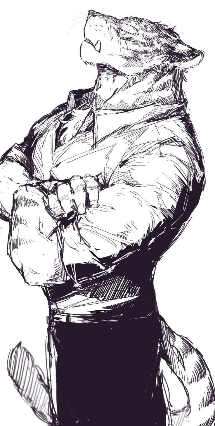 Todd Jackson BL thumbnail