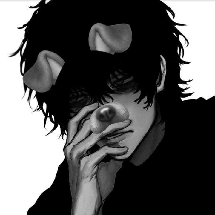 Yudi ( rei x bobo da Corte)  thumbnail