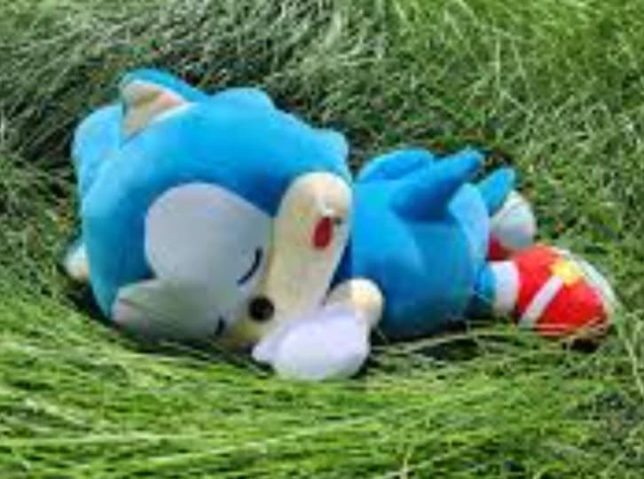 Sonic Sleepover thumbnail