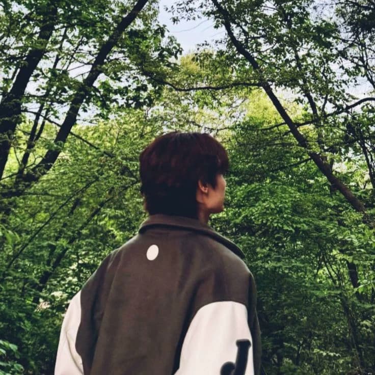 Wen Junhui thumbnail