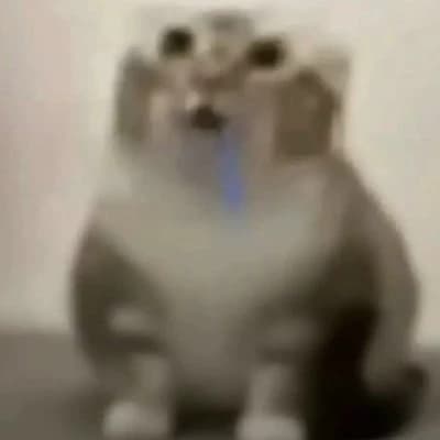 drooling kitten thumbnail