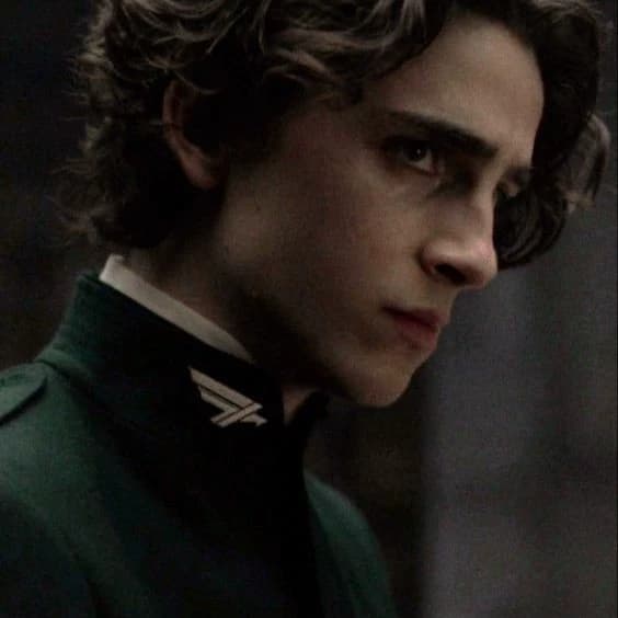 Regulus Black thumbnail