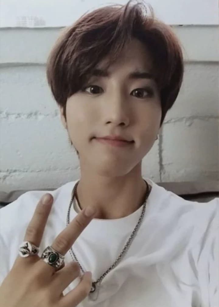 Han Jisung  thumbnail